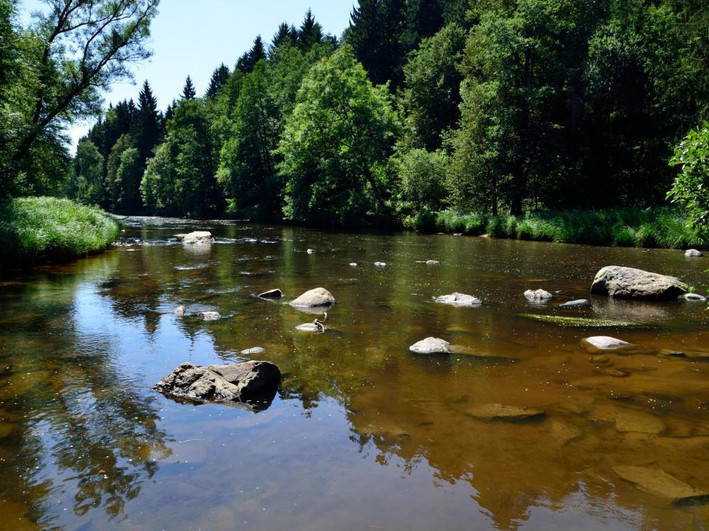 Ferienwohnungen Grill Schönberg Oda fotoğraf